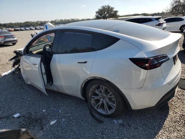 2023 TESLA MODEL Y #3303885770