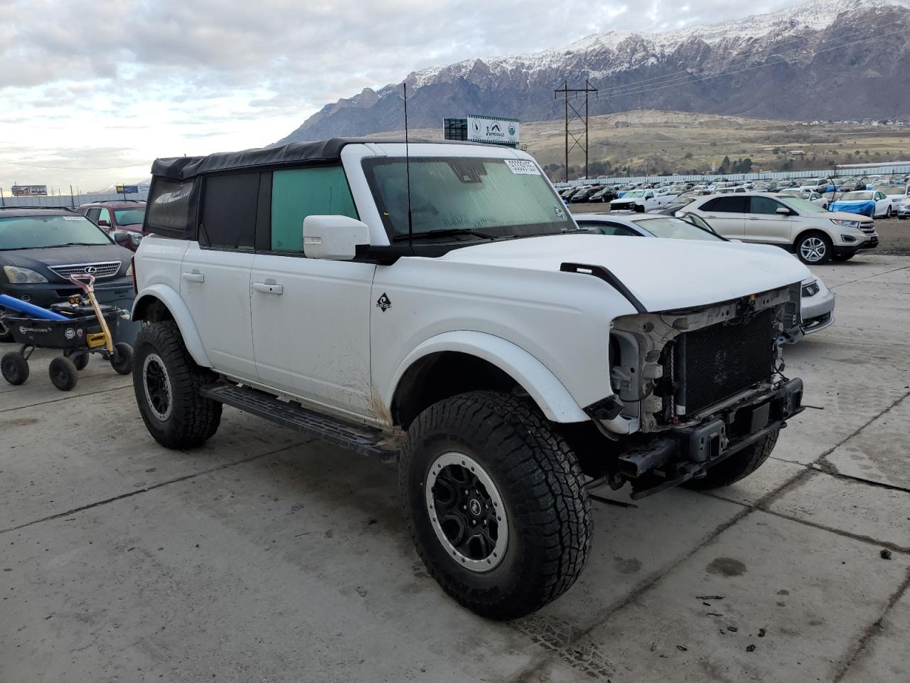 FORD BRONCO BASE