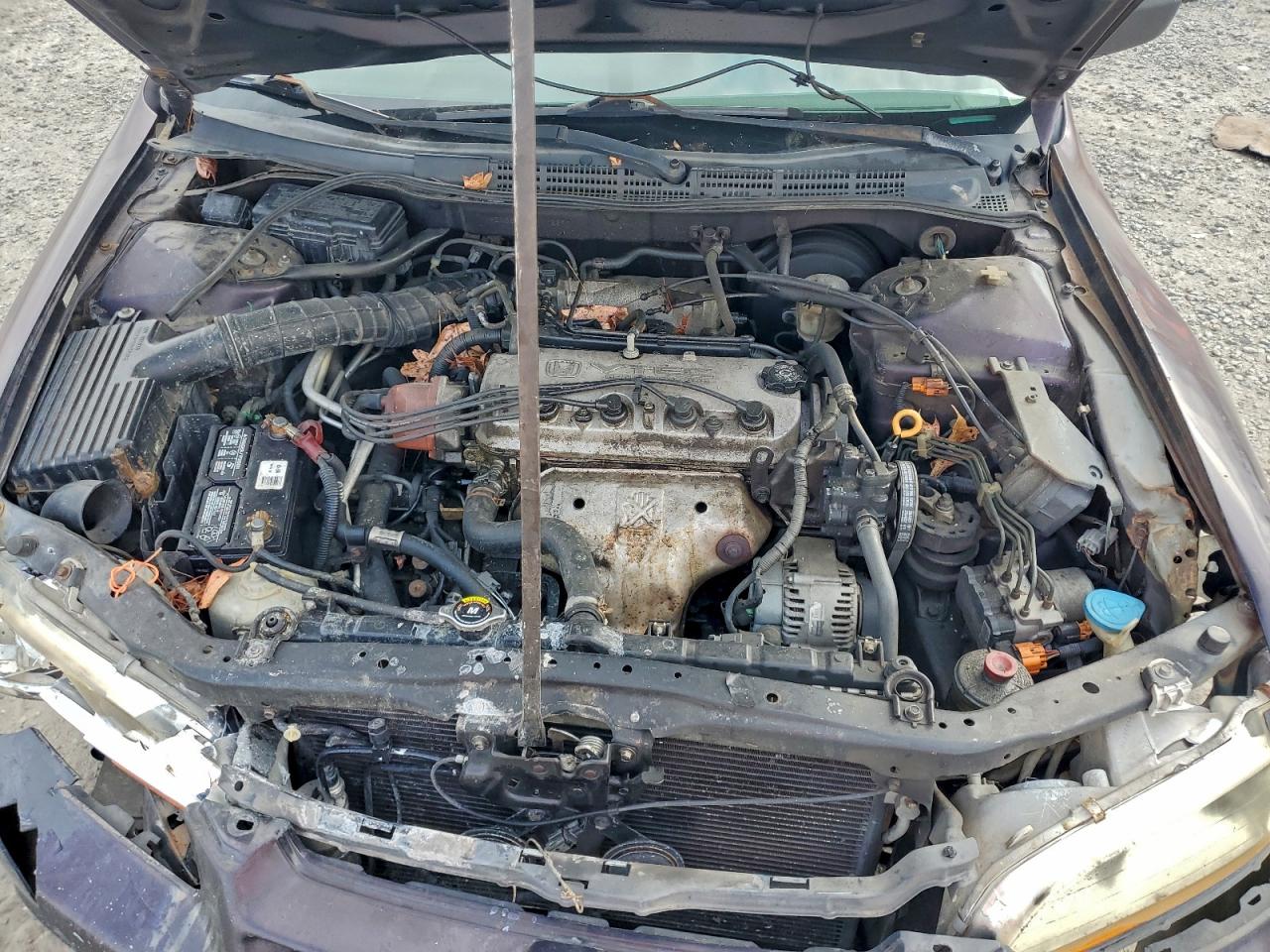 Lot #3302908113 1998 HONDA ACCORD EX