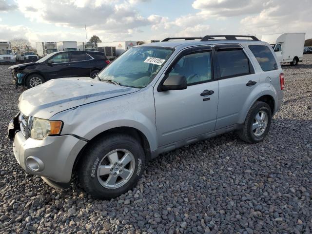 Global Auto Auctions: 2009 FORD ESCAPE XLT