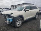 Lot #3308058182 2024 TOYOTA GRAND HIGH