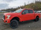 Lot #3304769935 2017 FORD F150 SUPER