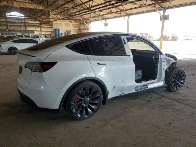 2023 TESLA MODEL Y #3302663038