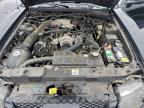 Lot #3312568183 2003 FORD MUSTANG GT