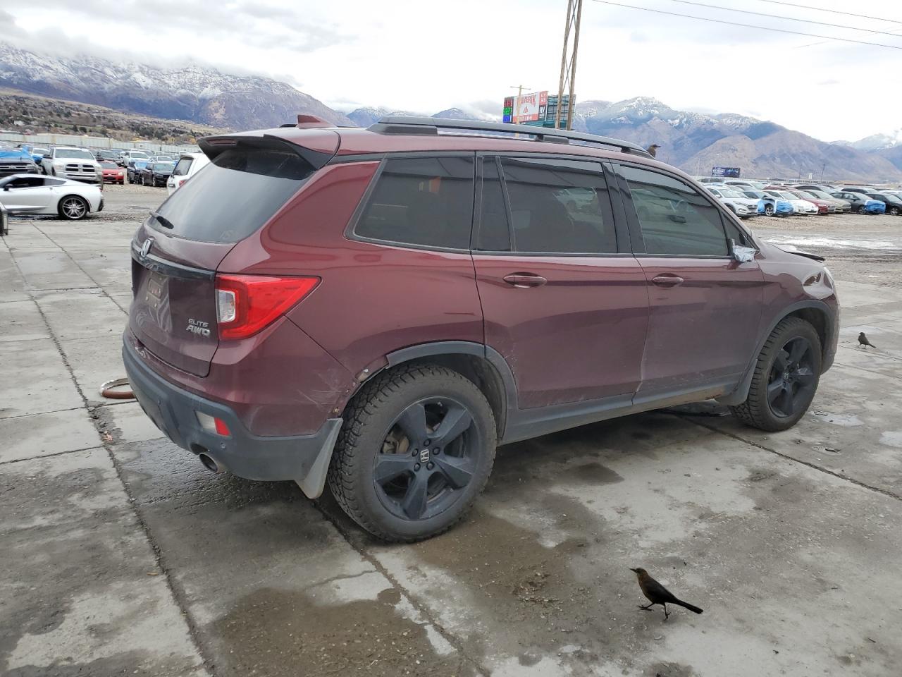 HONDA PASSPORT ELITE