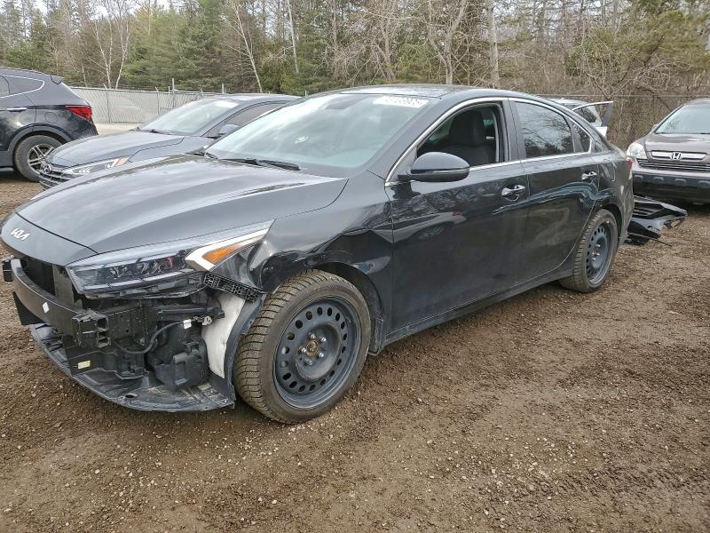 Global Auto Auctions: 2023 KIA FORTE EX