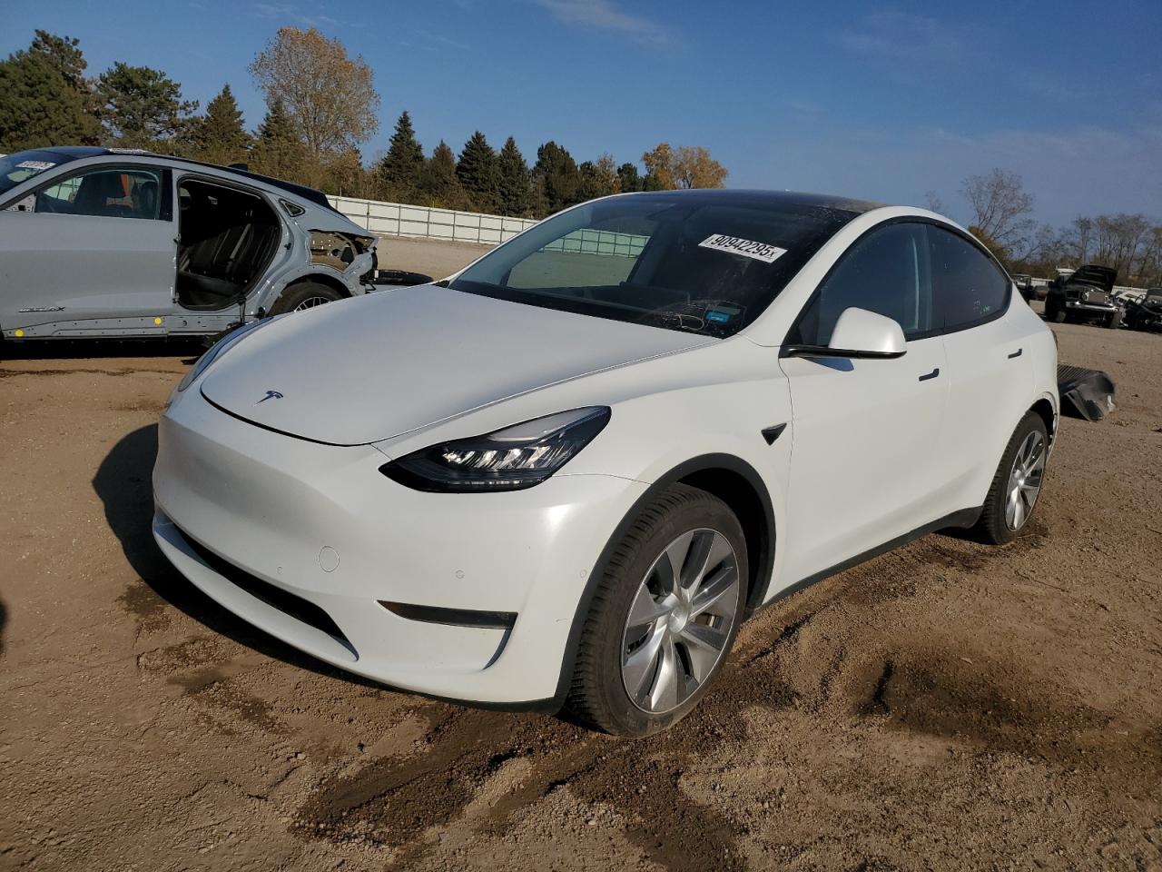 Lot #3290373789 2020 TESLA MODEL Y