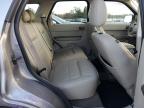 Lot #3303879717 2008 FORD ESCAPE XLT