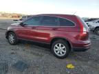 Lot #3297011363 2011 HONDA CR-V SE
