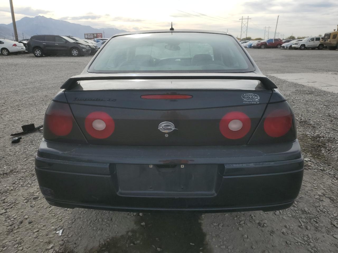 Lot #3293716396 2005 CHEVROLET IMPALA LS