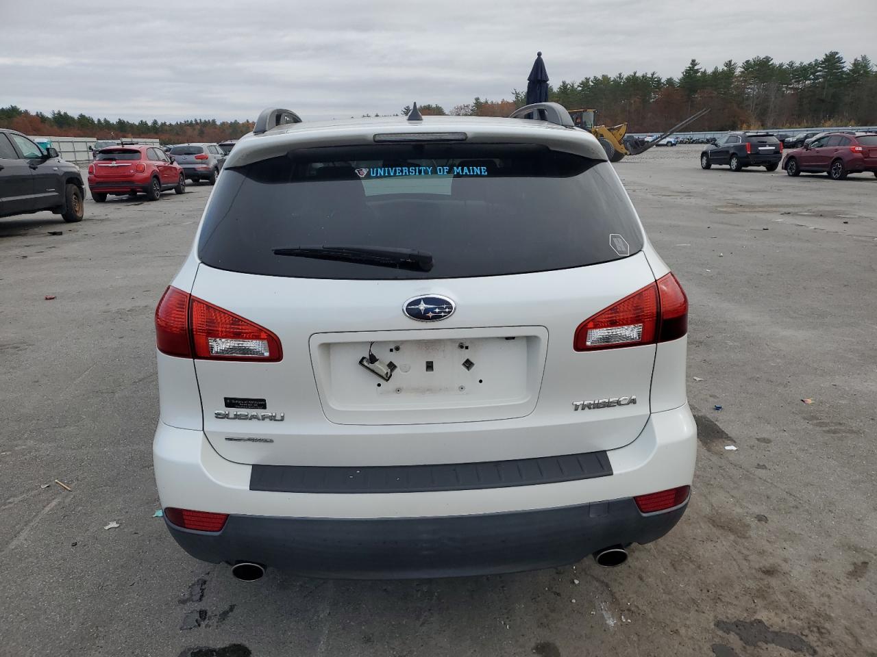 SUBARU TRIBECA LIMITED