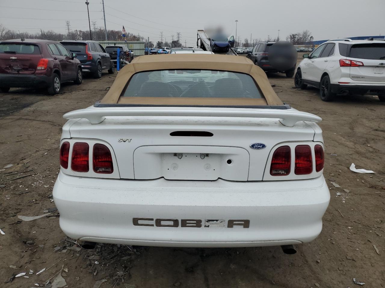 Lot #3302822937 1996 FORD MUSTANG CO