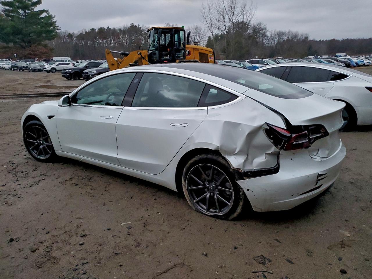 Lot #3304539437 2018 TESLA MODEL 3