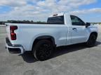 Lot #3296319456 2024 CHEVROLET SILVERADO