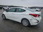 Lot #3316880109 2013 HYUNDAI ELANTRA GL