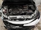 Lot #3301772338 2024 TOYOTA COROLLA LE