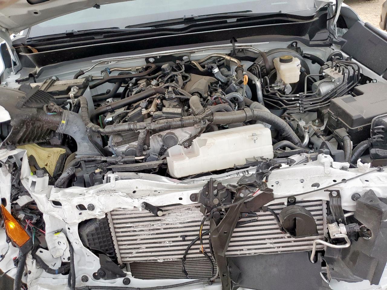 Lot #3317085979 2025 TOYOTA TACOMA DOU