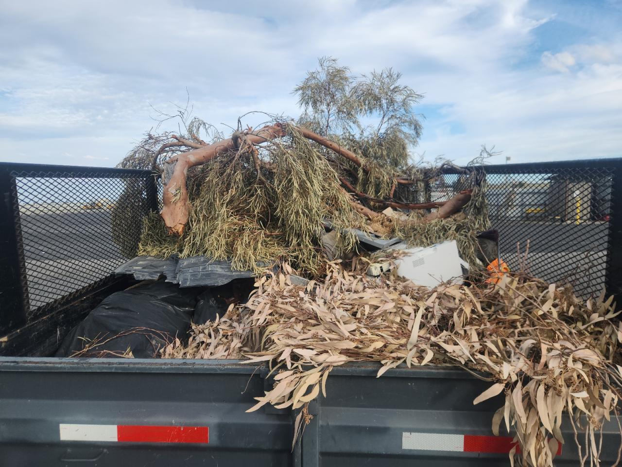 Lot #3315929129 2019 LDTR DUMP