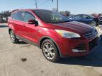 Lot #3304549435 2013 FORD ESCAPE SEL