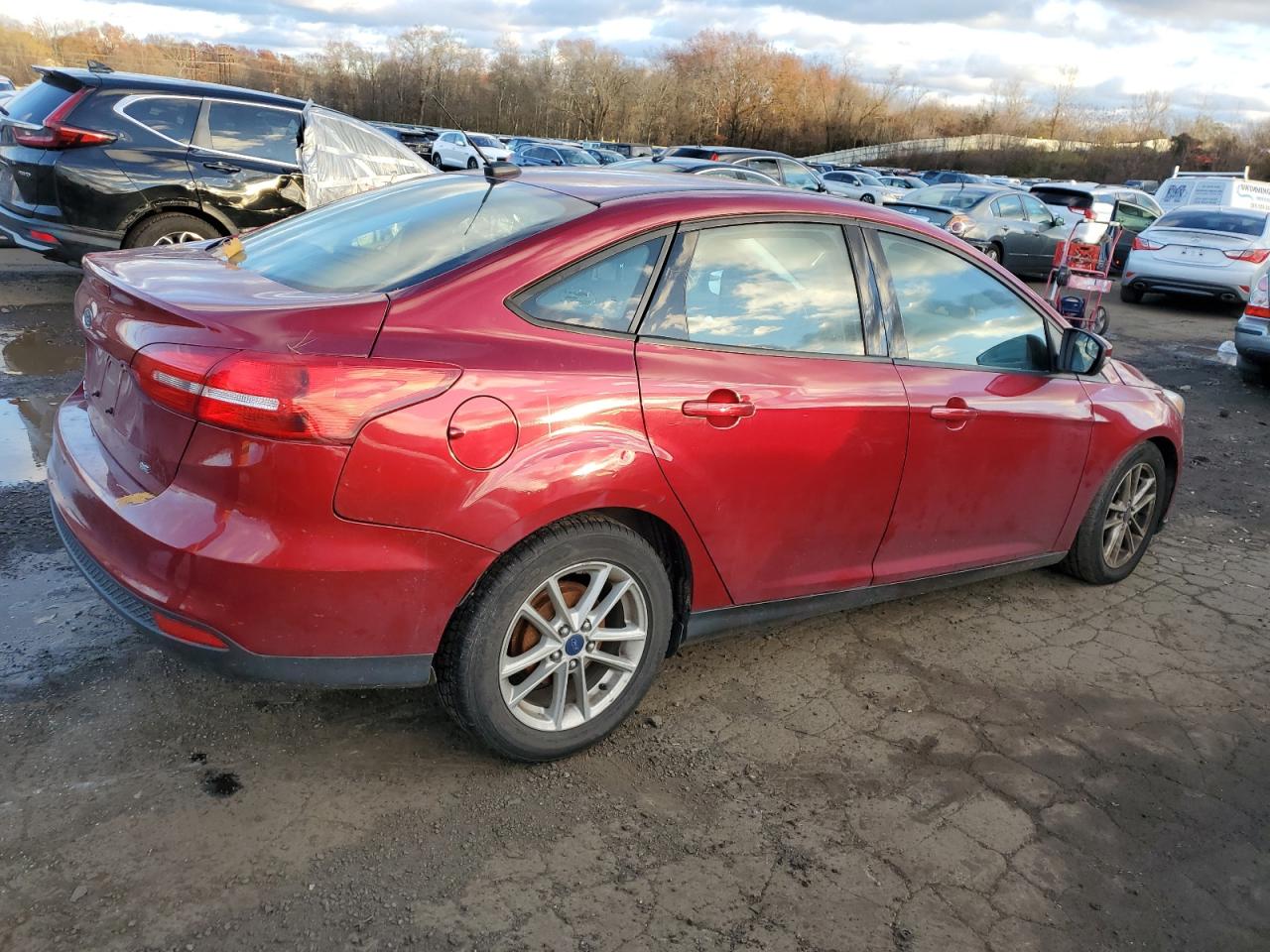 Lot #3312423637 2016 FORD FOCUS SE