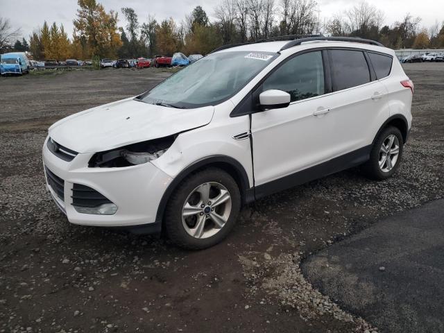 Global Auto Auctions: 2013 FORD ESCAPE SE