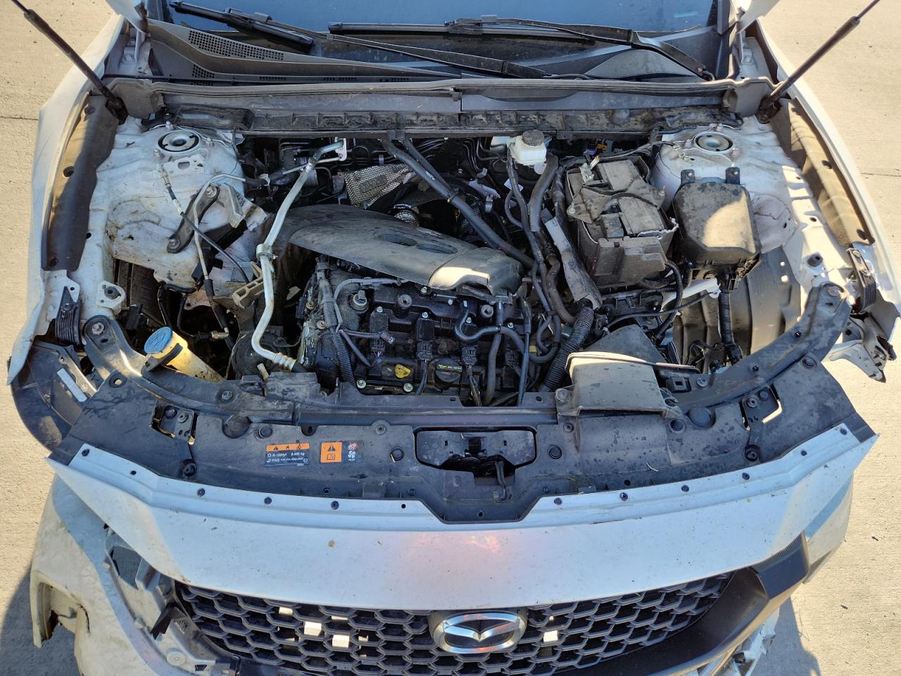 MAZDA CX-50 PREFERRED PLUS