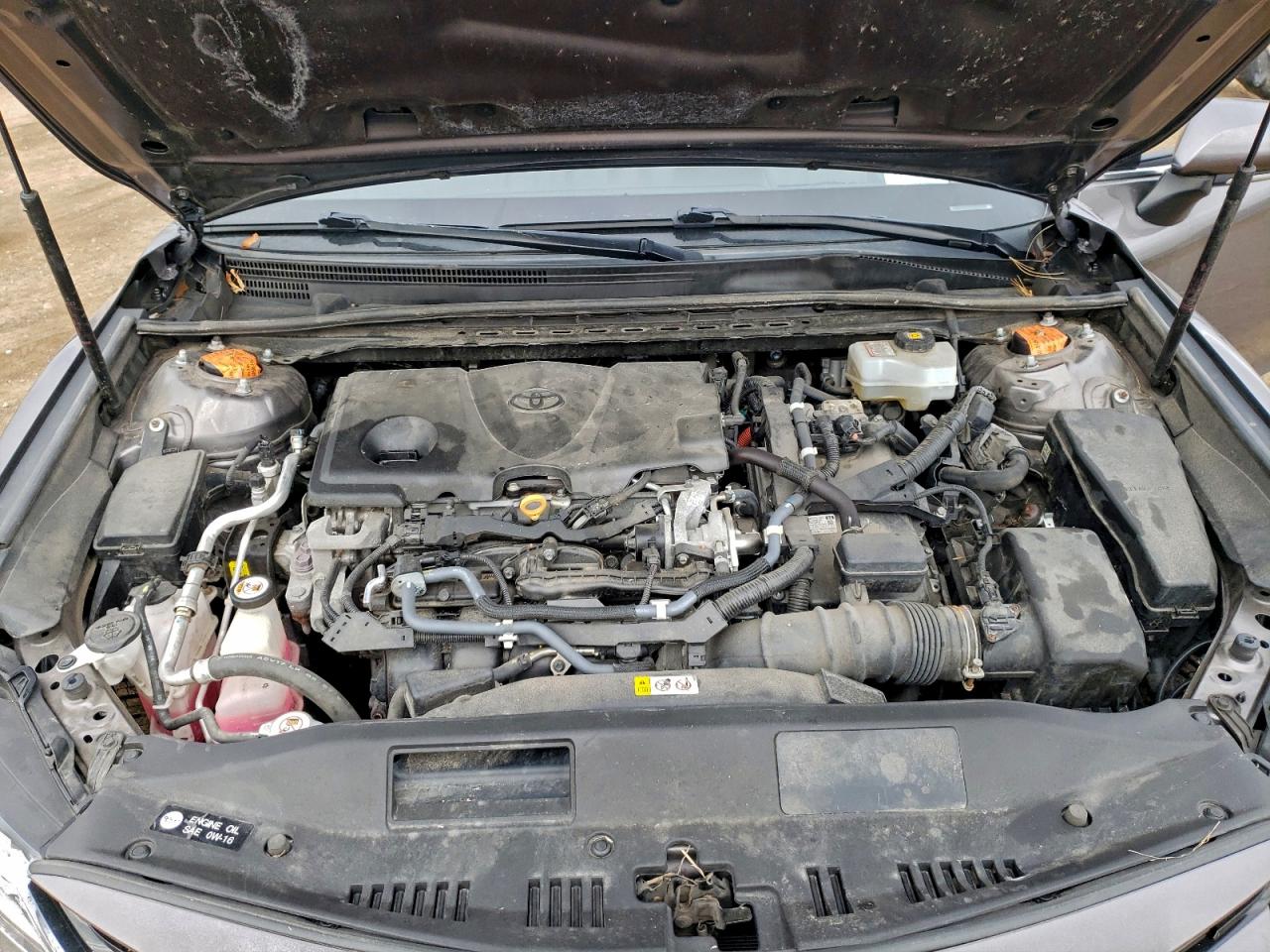 Lot #3312334770 2019 TOYOTA CAMRY HYBR