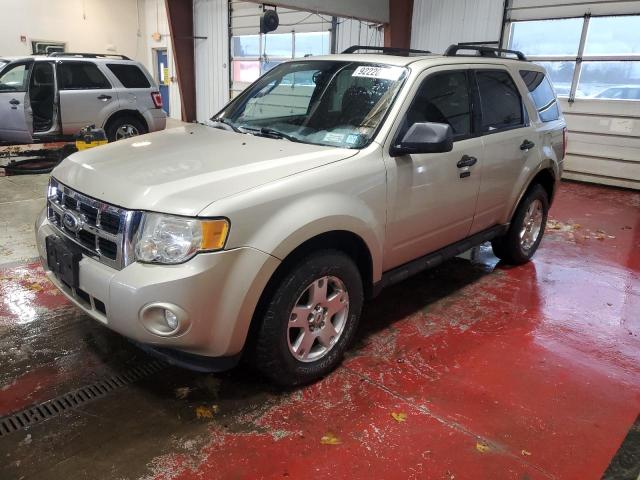 Global Auto Auctions: 2010 FORD ESCAPE XLT