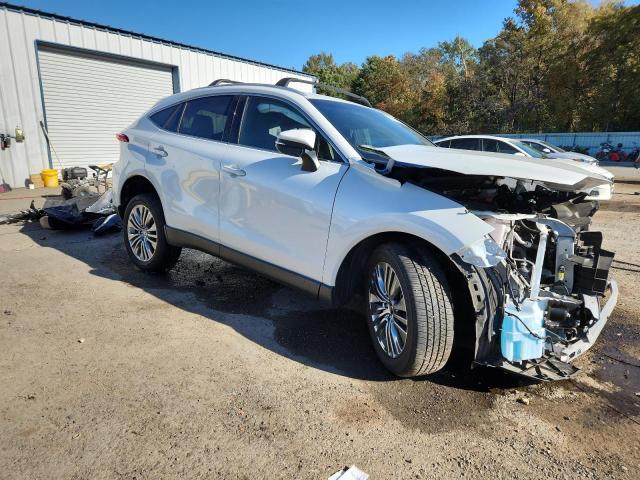 2024 TOYOTA VENZA LE #3296279504