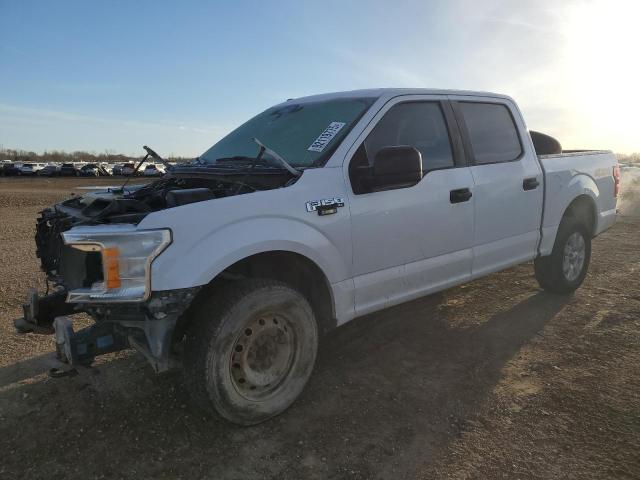 Global Auto Auctions: 2019 FORD F150 SUPER