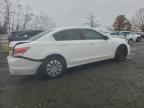 Lot #3303801423 2012 HONDA ACCORD LX