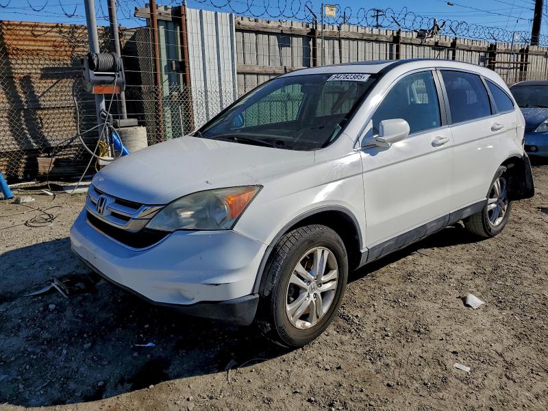 2010 HONDA CR-V EXL #3303864703