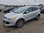 Lot #3304670951 2014 FORD ESCAPE TIT