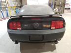 Lot #3310373976 2009 FORD MUSTANG GT