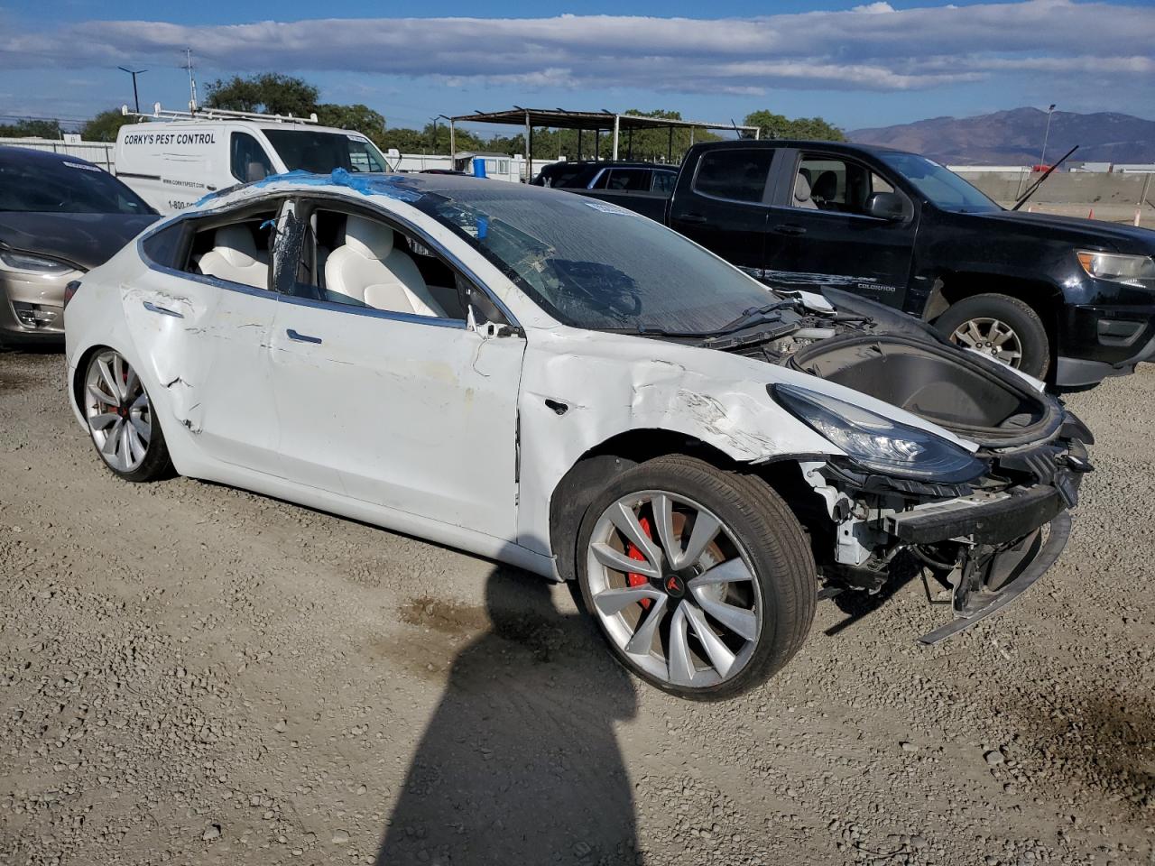 TESLA MODEL 3