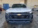 Lot #3303968703 2023 CHEVROLET COLORADO