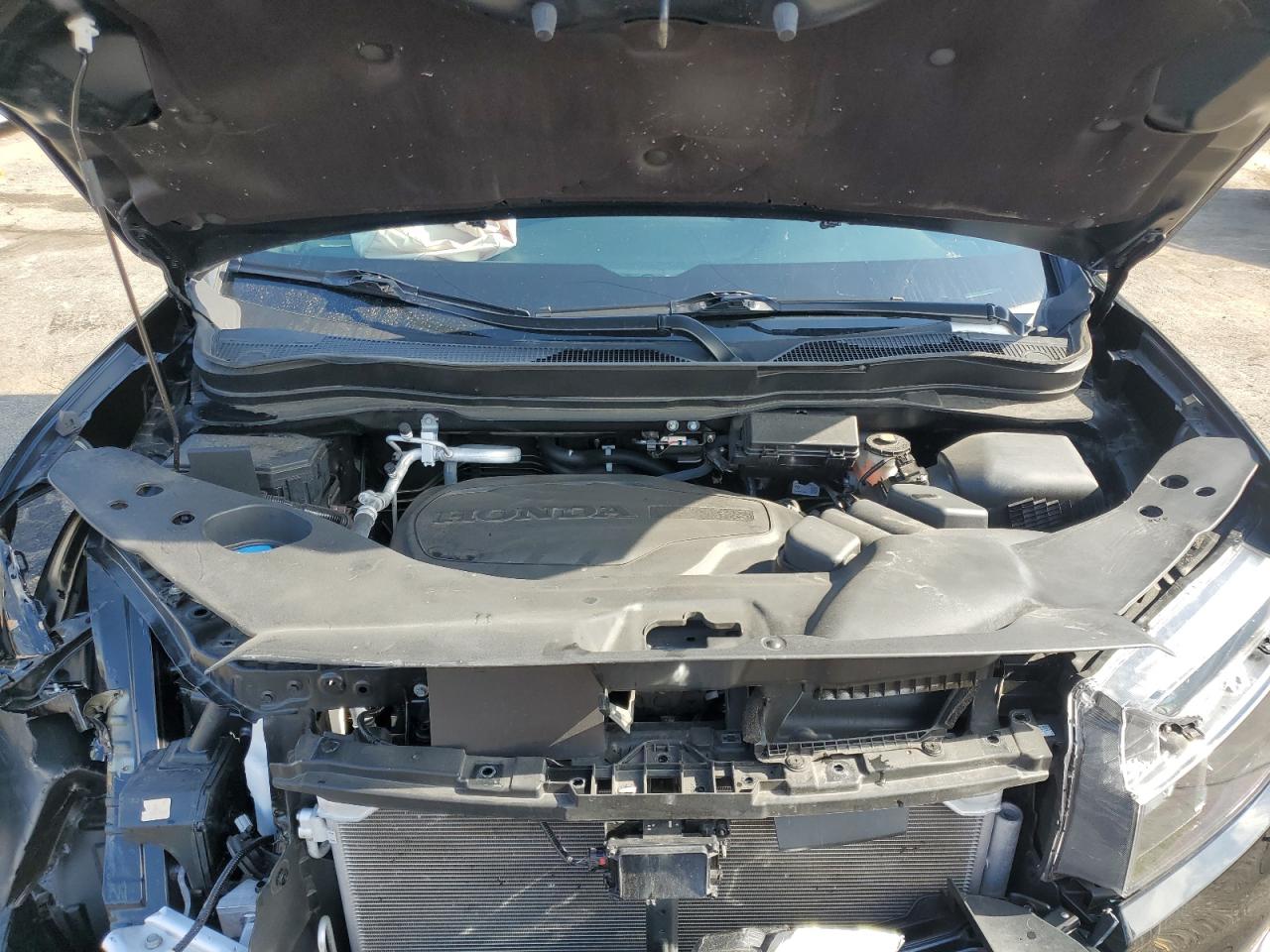 HONDA RIDGELINE TRAIL SPORT