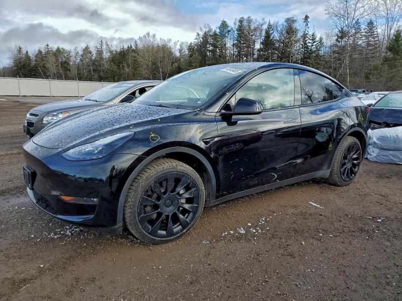 Global Auto Auctions: 2023 TESLA MODEL Y