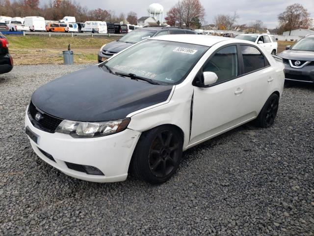 Global Auto Auctions: 2010 KIA FORTE EX