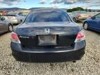 Lot #3304023594 2008 HONDA ACCORD EX