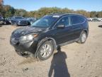 Lot #3293438421 2014 HONDA CR-V EXL
