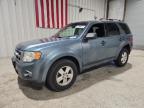 Lot #3303575931 2012 FORD ESCAPE XLT