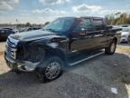 Lot #3310325975 2013 FORD F150 SUPER