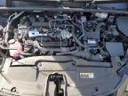Lot #3309542572 2025 TOYOTA PRIUS LE