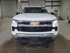 Lot #3303779448 2024 CHEVROLET SILVERADO