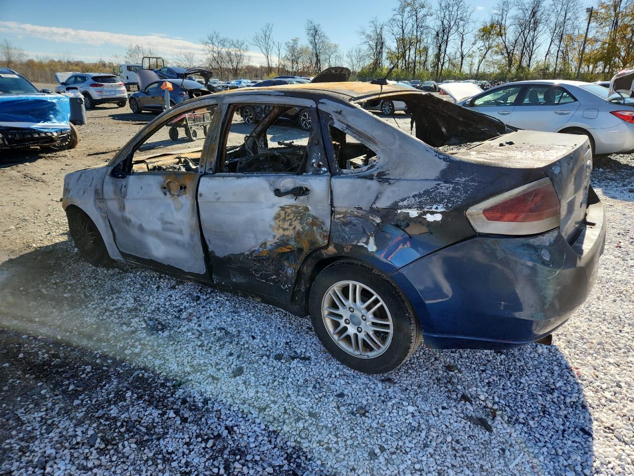Lot #3290318956 2008 FORD FOCUS SE