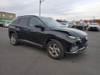 Lot #3312463626 2024 HYUNDAI TUCSON SEL