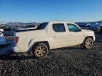 Lot #3296462683 2007 HONDA RIDGELINE