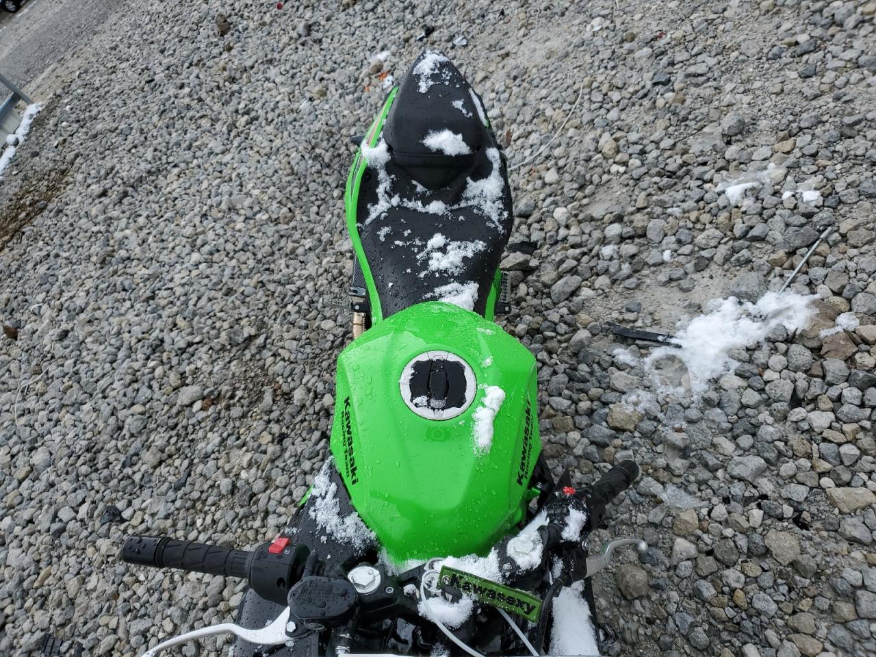 Lot #3305433473 2024 KAWASAKI EX500 H