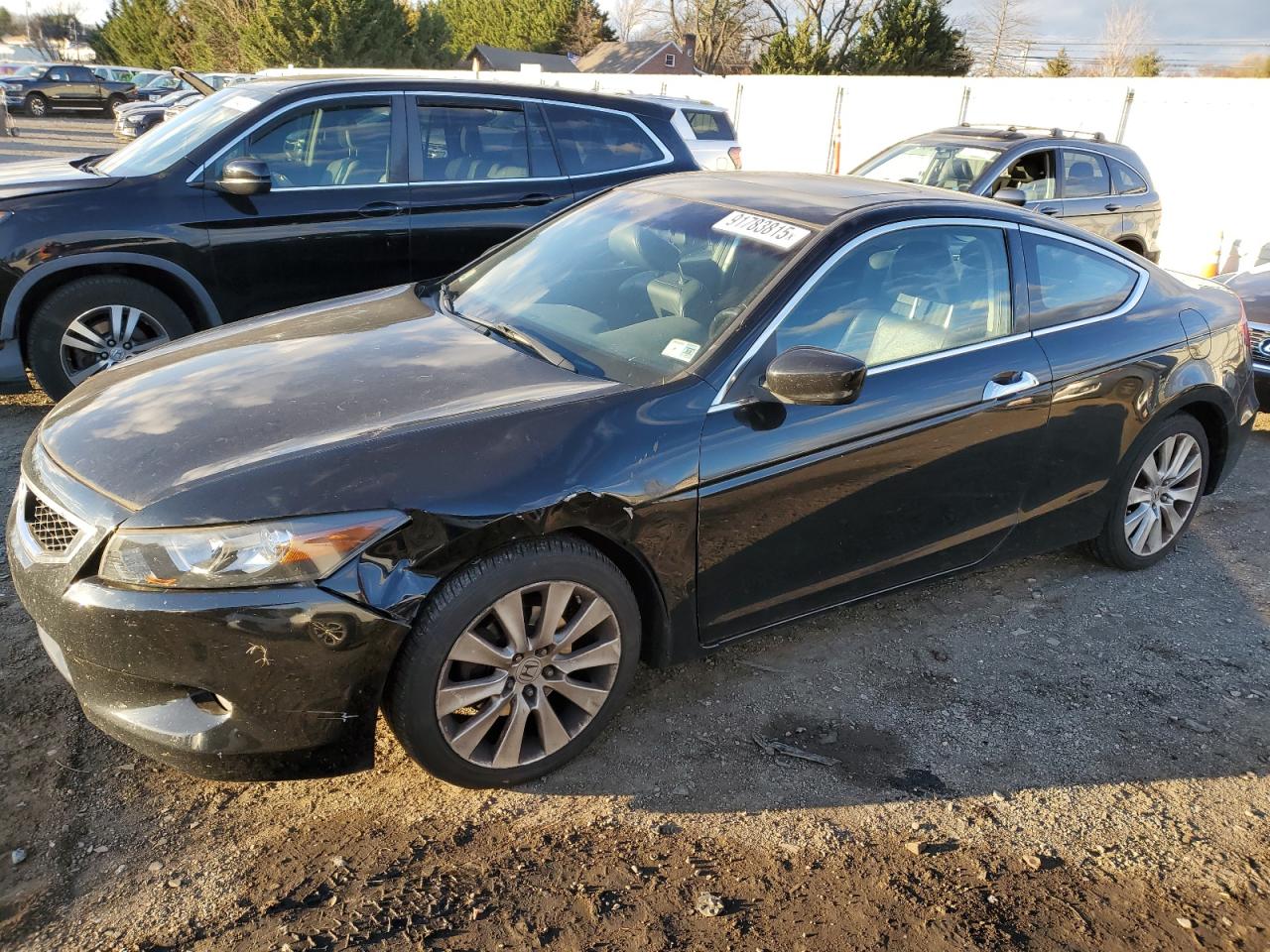 Lot #3293345424 2009 HONDA ACCORD EXL
